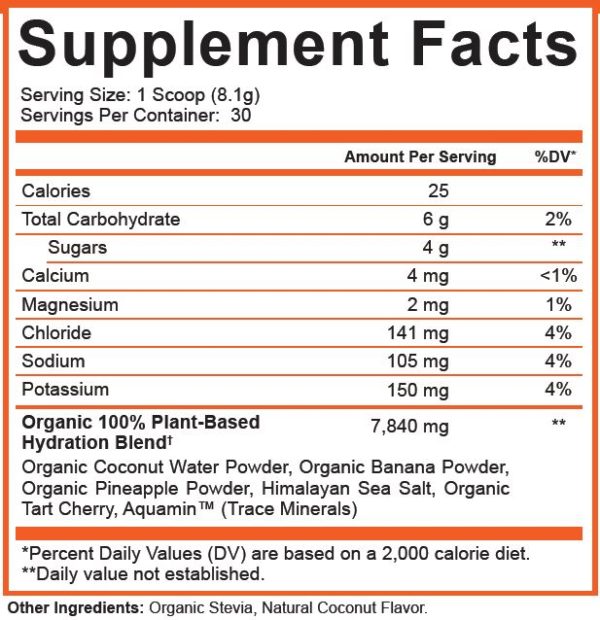 Ground-Based Nutrition Organic Plant-Based Electrolytes - Image 2