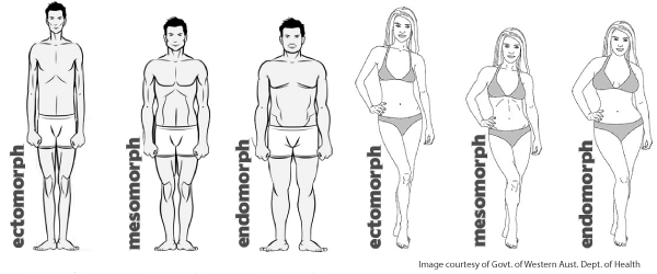 dieting for body type ectomorph endomorph mesomorph