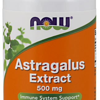 NOW Foods Astragalus Extract 500 mg Veg Capsules